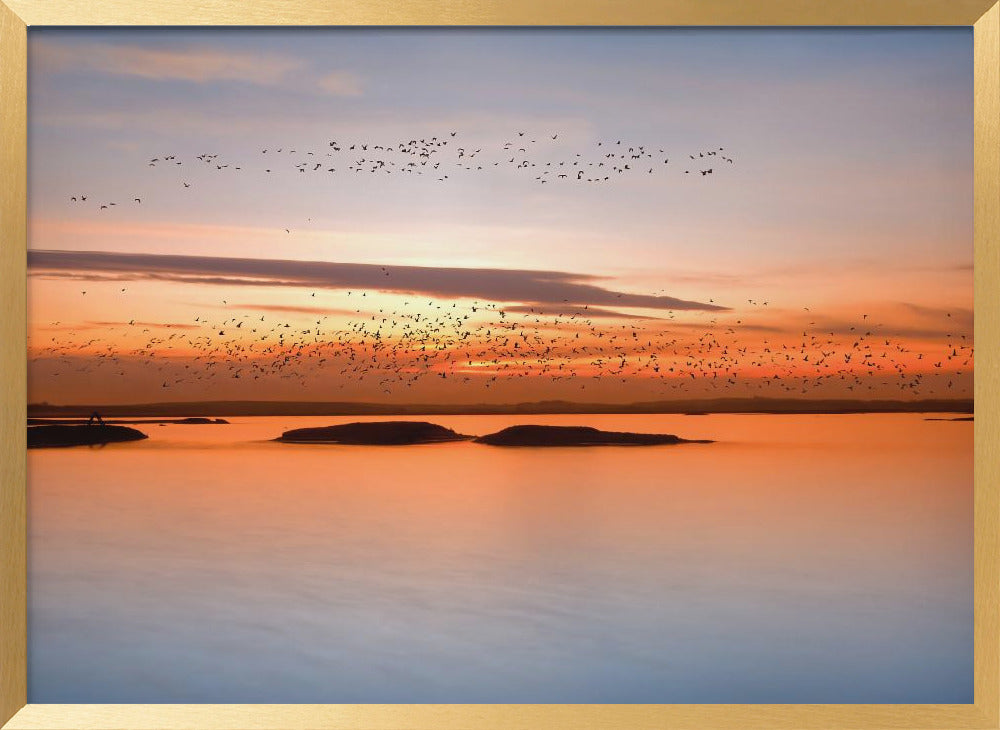 by sunset Poster